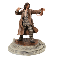Sirius Black 22cm