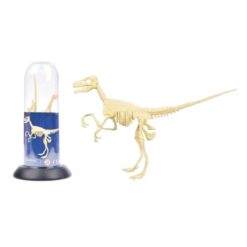 Dinosaur Collectible - Tyrannosaurus