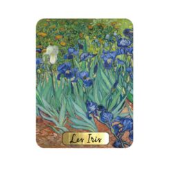 Μαγνήτης Ρητίνης "Iris" Van Gogh 6x8 cm