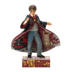 Harry Potter Robe Scene 25 cm