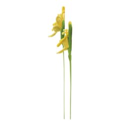 Alternative view of Tulips - Yellow (2 Assorted) 35 cm